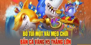 Bỏ túi các bí quyết sau để có thể tăng cơ hội thắng cao hơn