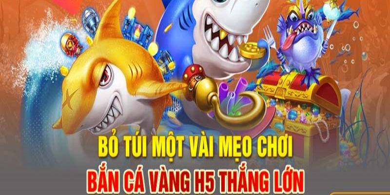 Bỏ túi các bí quyết sau để có thể tăng cơ hội thắng cao hơn